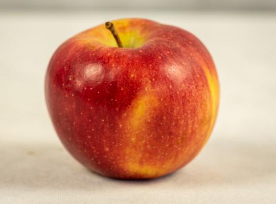 Apple Braeburn